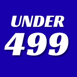 Product Under 499