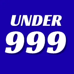 Product Under 999
